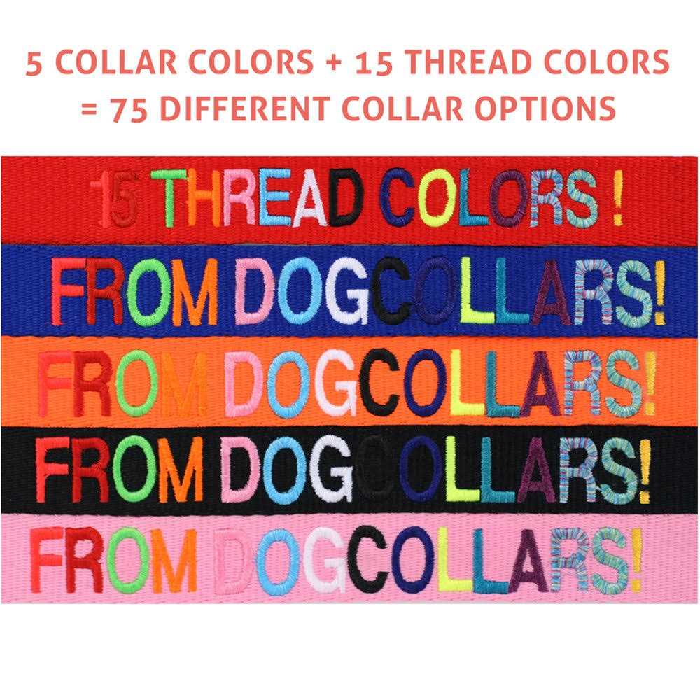 Personalized Dog Collar W560460
