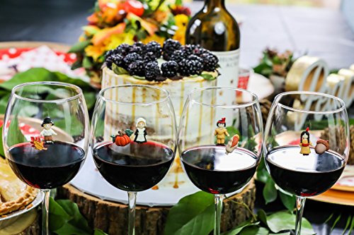 Magnetic Wine Glass Charms Set of 12 Drink Markers B152615