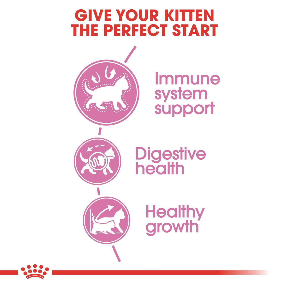 Kitten Dry Food R95567