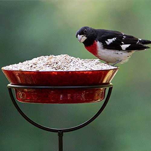 Sunflower Hearts & Chips Wild Bird Food O3346