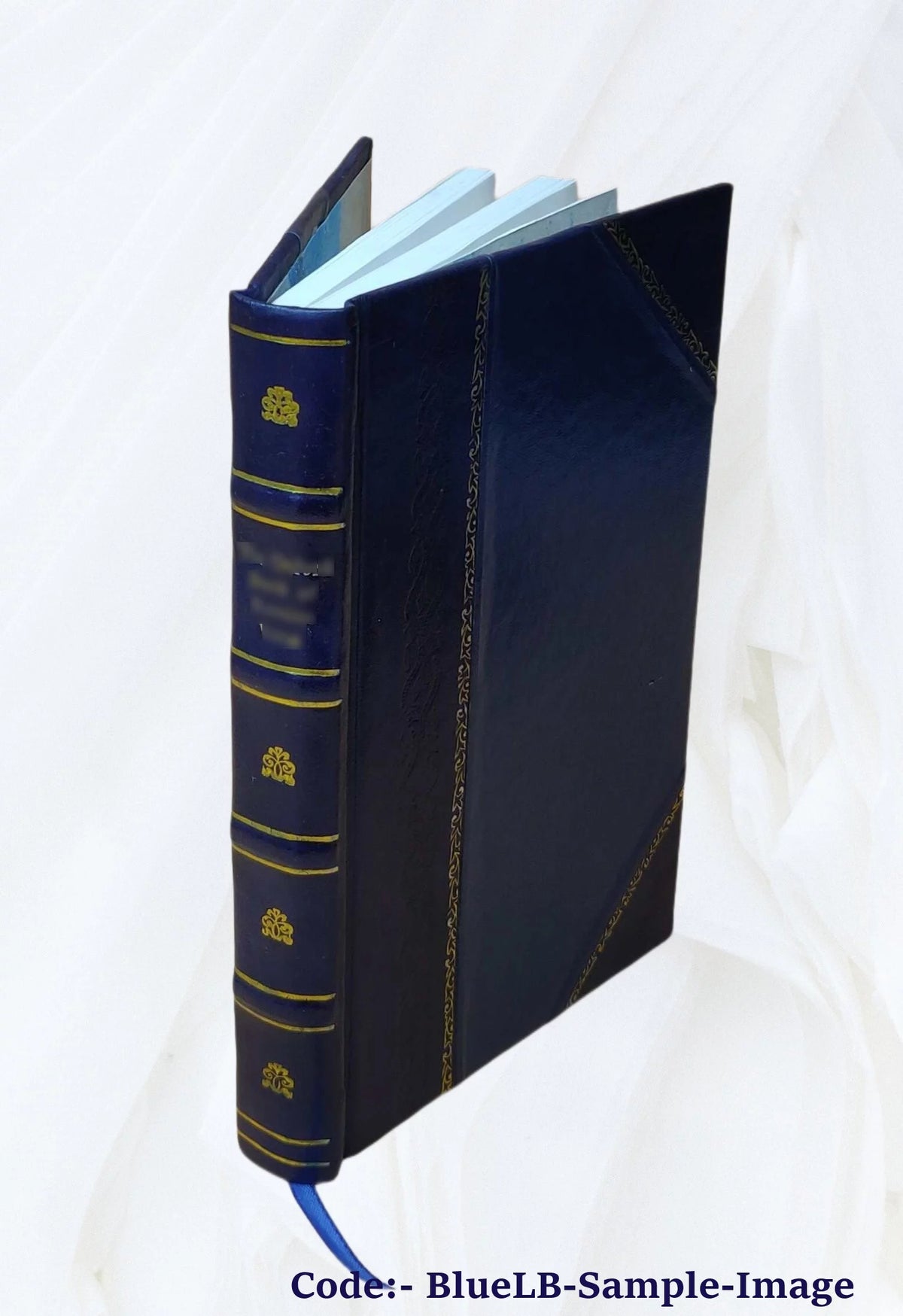 Leather Bound B553