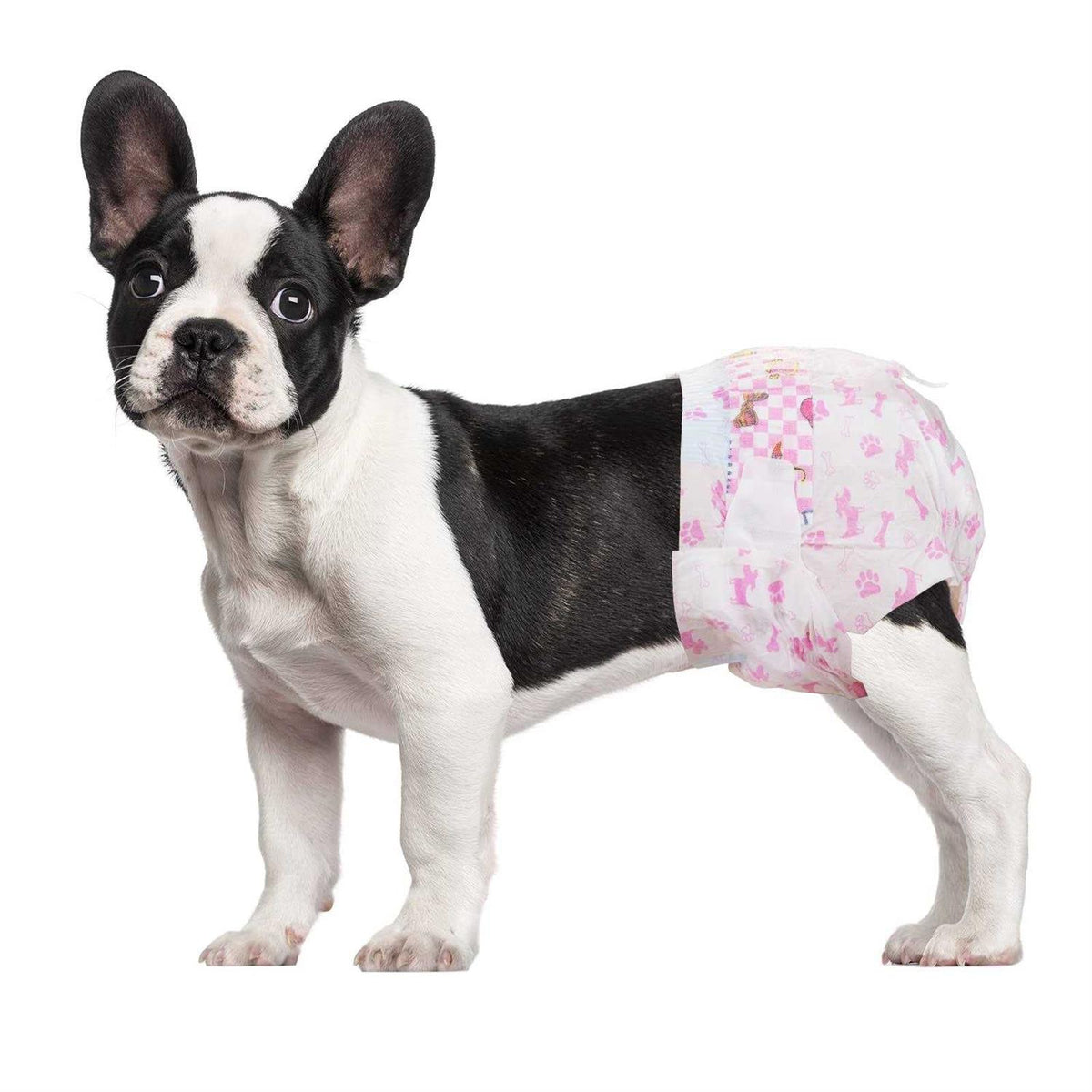 Disposable Female Dog Diapers Super Absorbent F2254