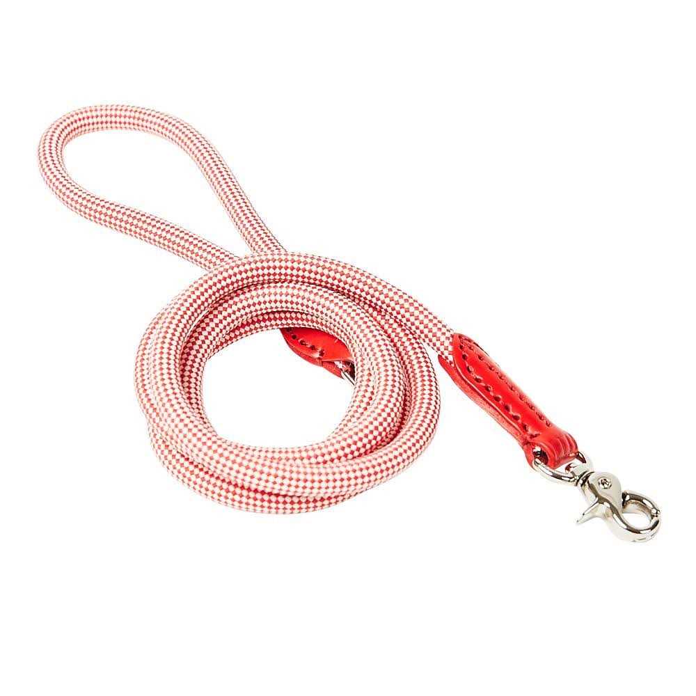 Check Rope Dog Leash Q844302