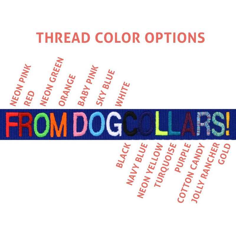Personalized Dog Collar W560460