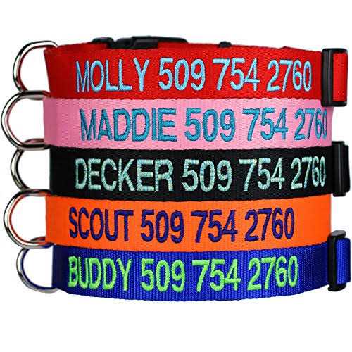 Personalized Dog Collar W560460