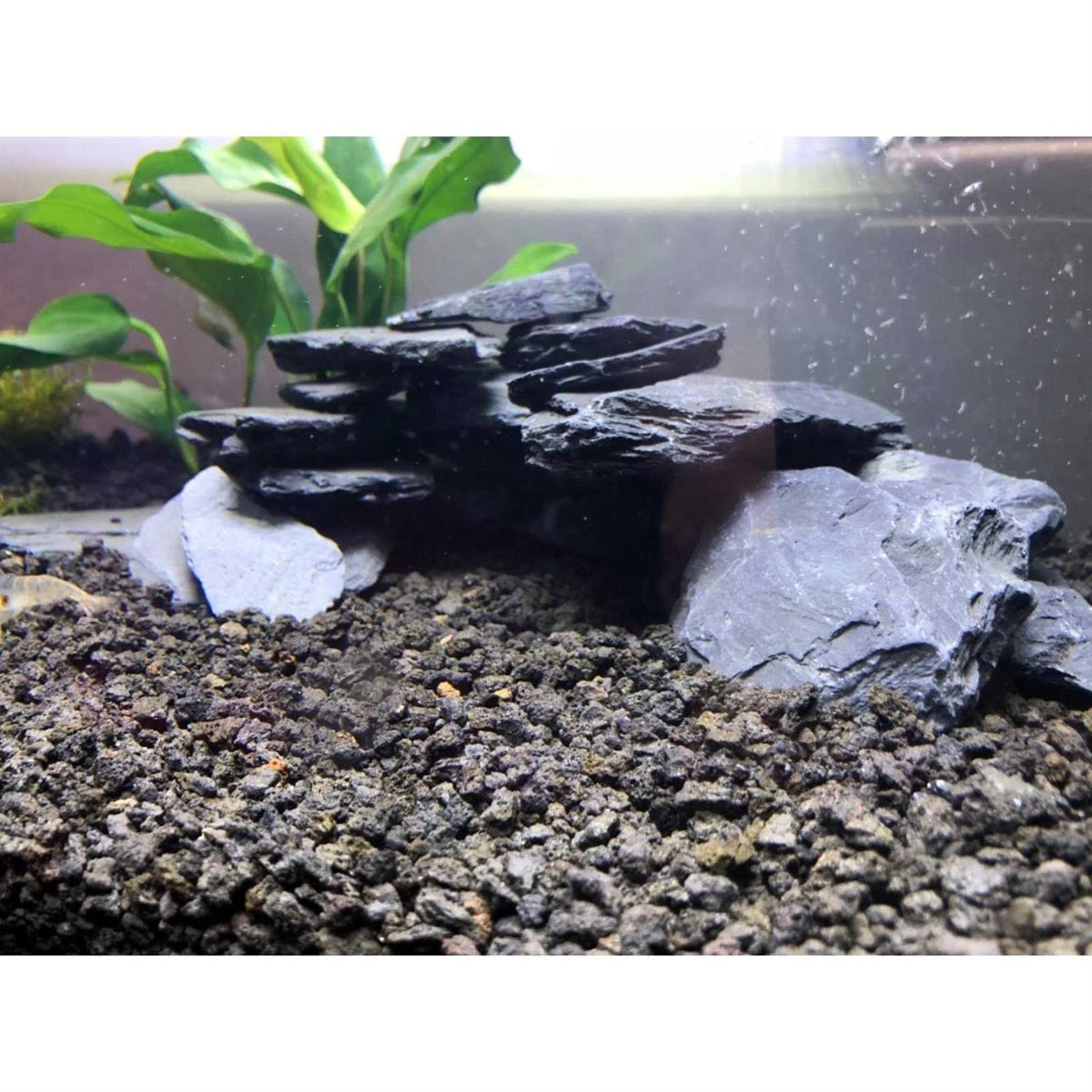 Natural Slate Stone 1 to 3 inch Rocks I796197