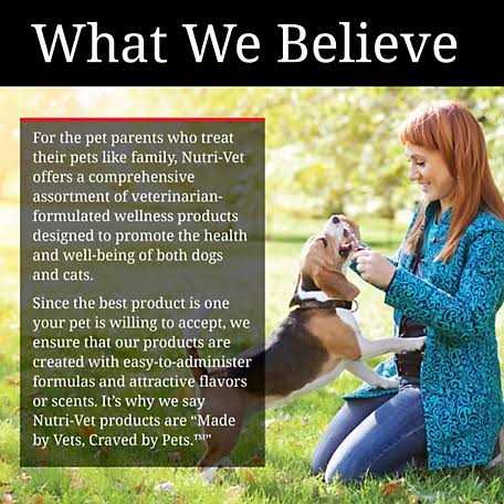 Hip & Joint Soft Chews For Dogs V9275