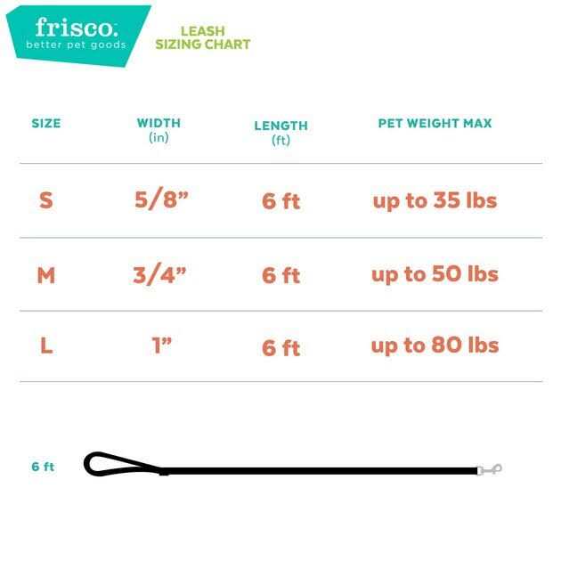 Dog Leash J88809