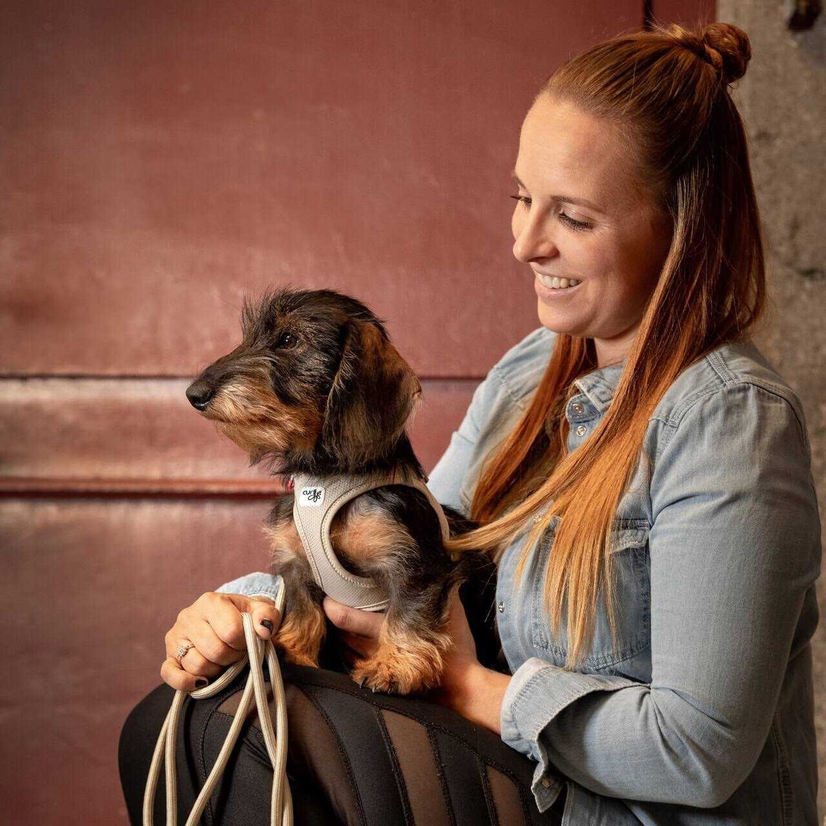 Air-Mesh Dog Harness R79179