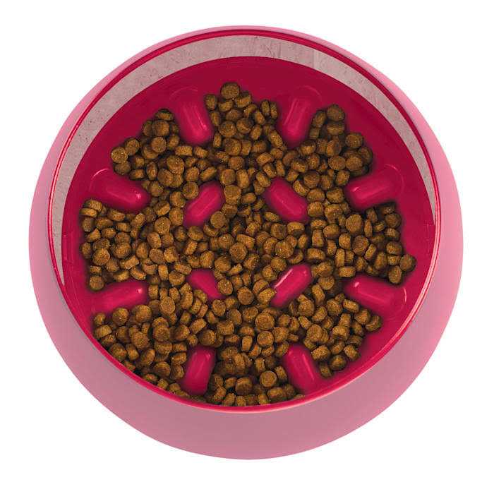 Burgundy Interactive Slow Feeder Dog Bowl I6440
