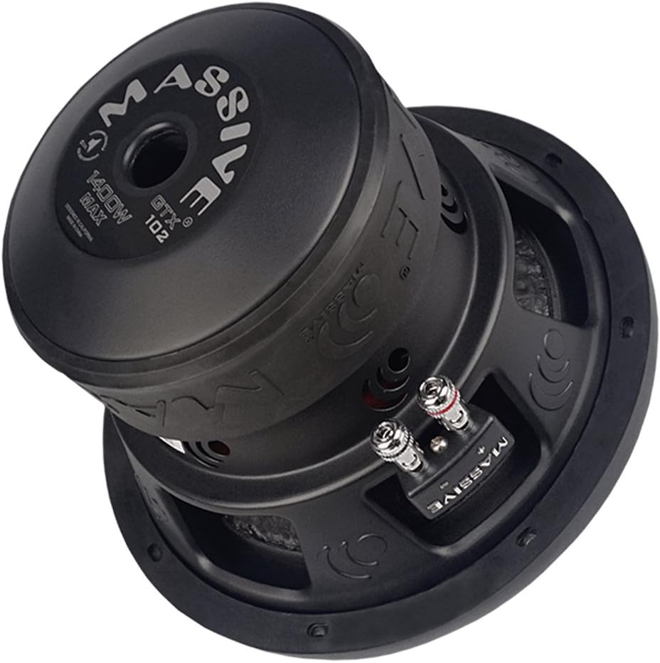 10 Inch Car Audio Subwoofer, 700 Watt RMS, Dual 2 Ohm Z436526