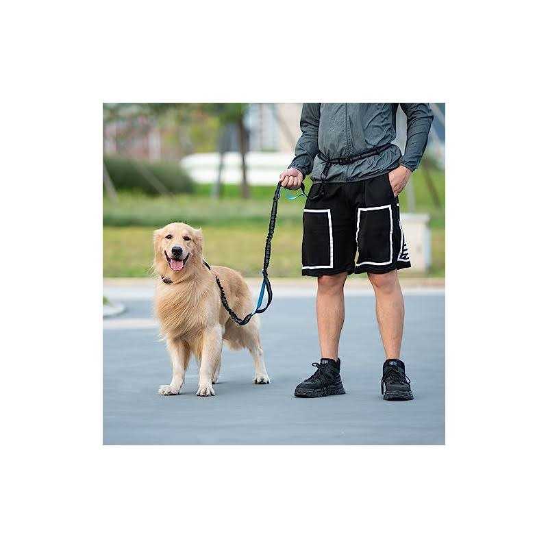 Hands Free Dog Leash with Zipper Pouch and Padded Handles G415