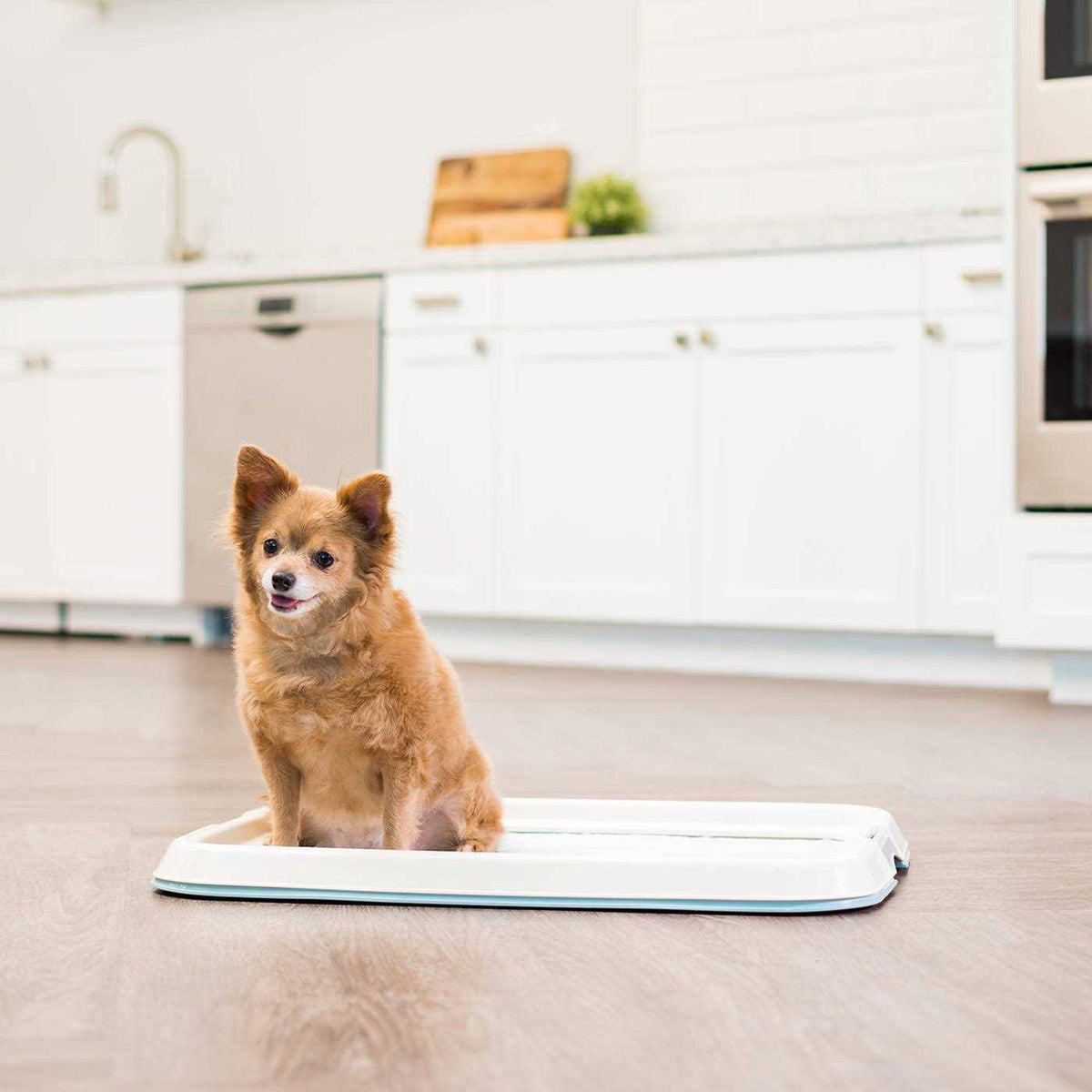 Square Pet Training Pad Holder O3534