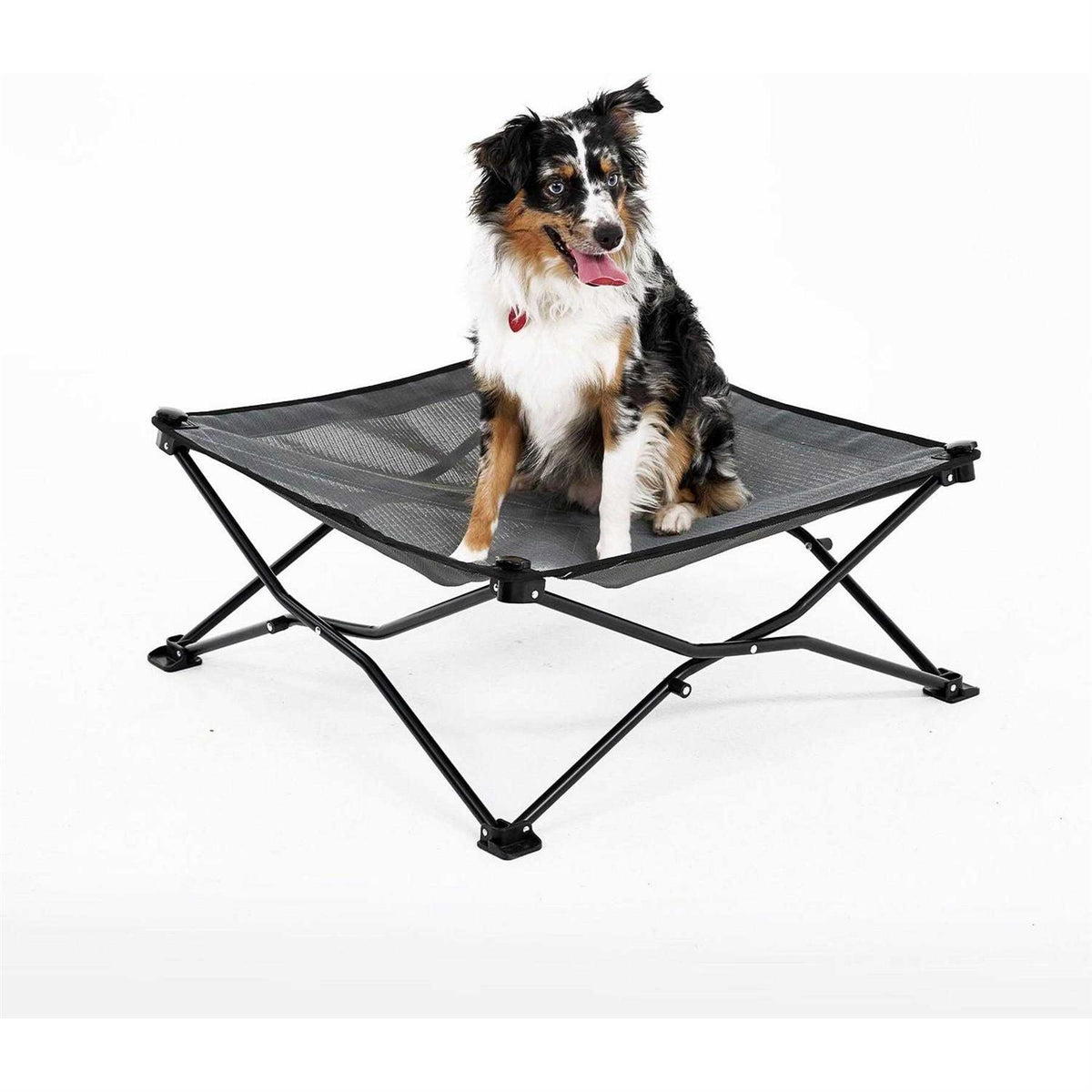 Elevated Pet Bed V324331