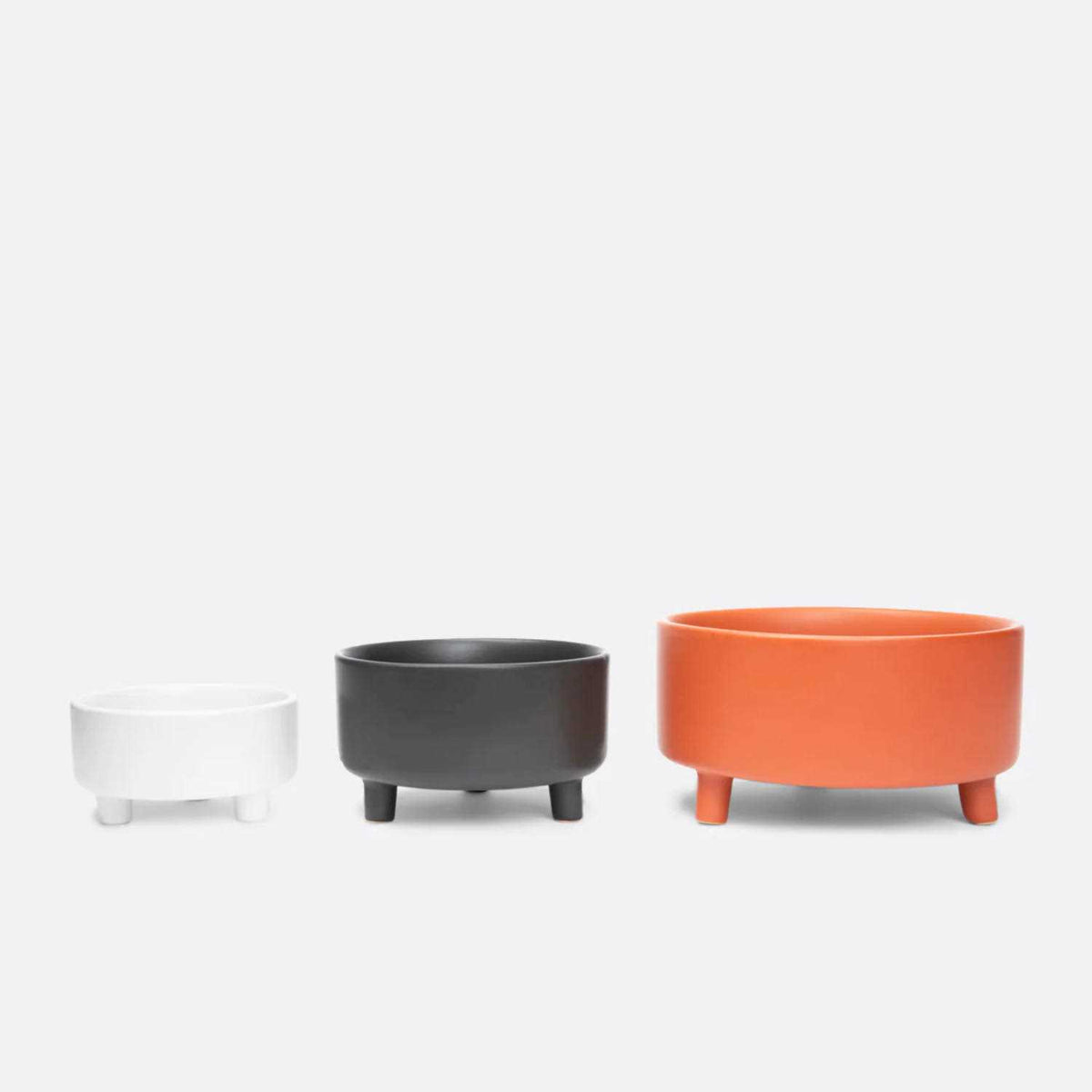 Ceramic Dog Bowl E985082