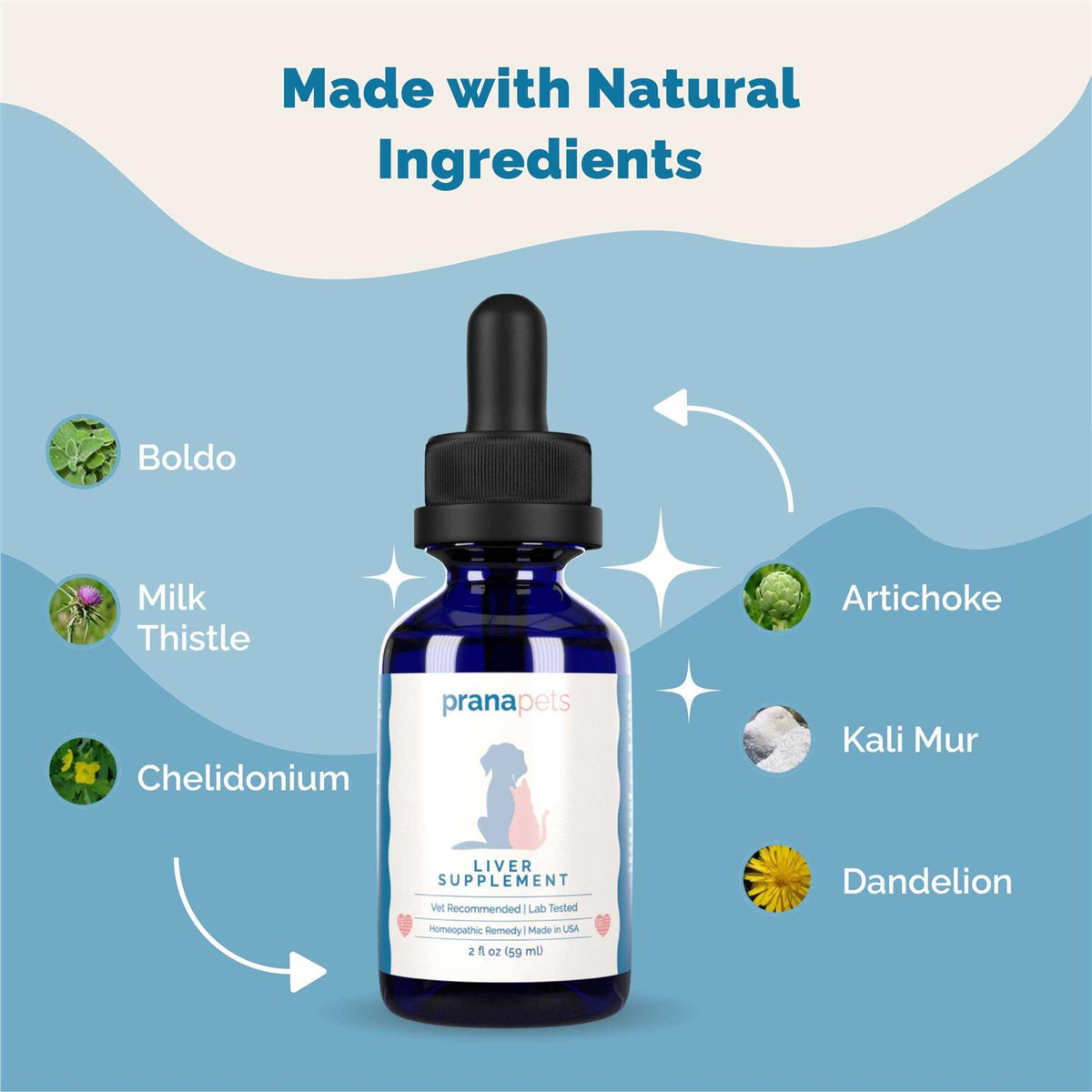 Liver Supplement for Pets C440