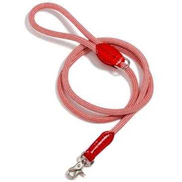Check Rope Dog Leash Q844302