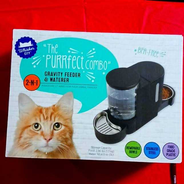 Black Cat Feeder P131