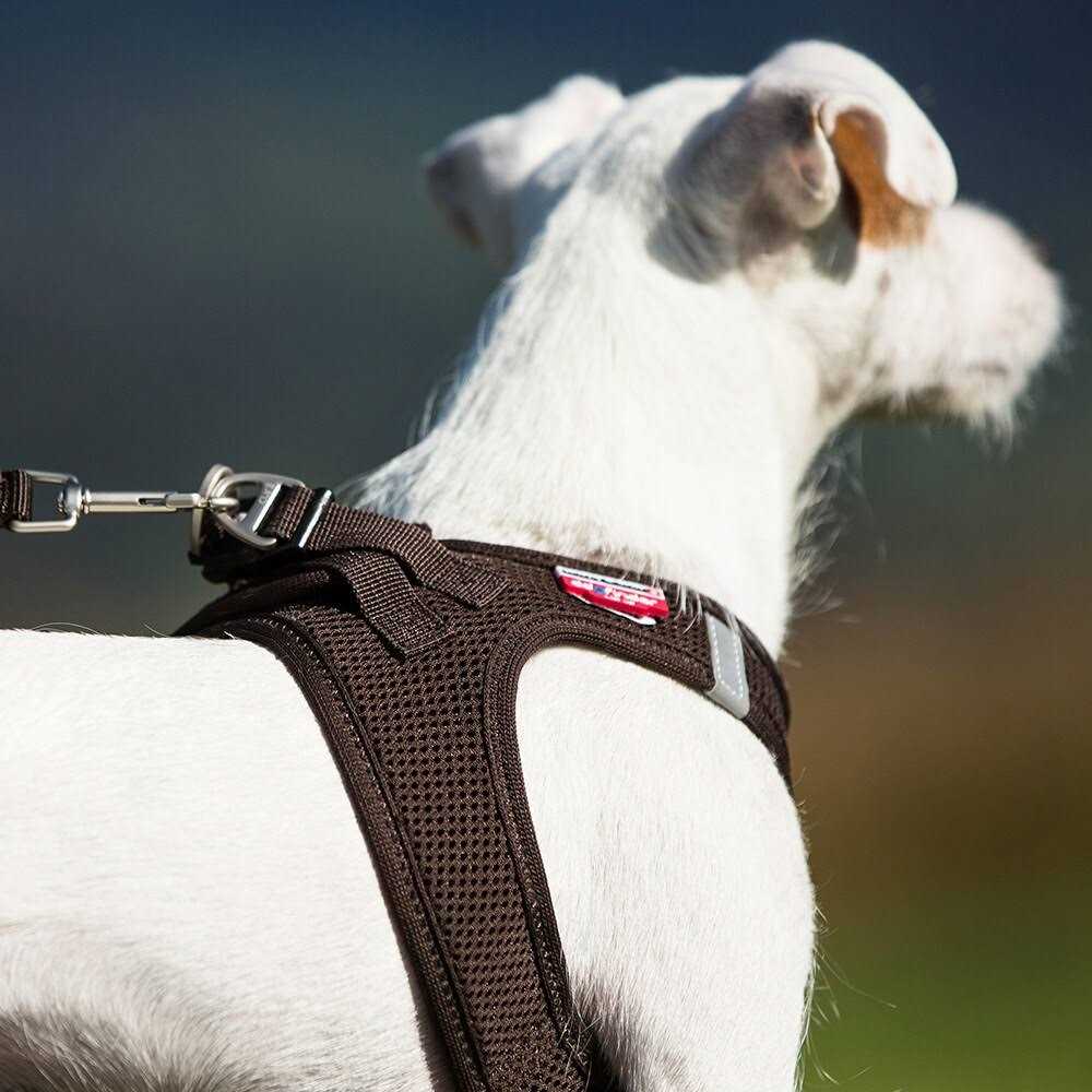 Air-Mesh Dog Harness R79179