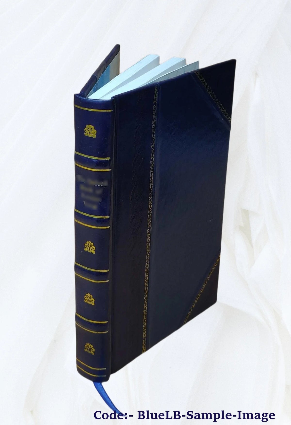 Leather Bound Book V386523