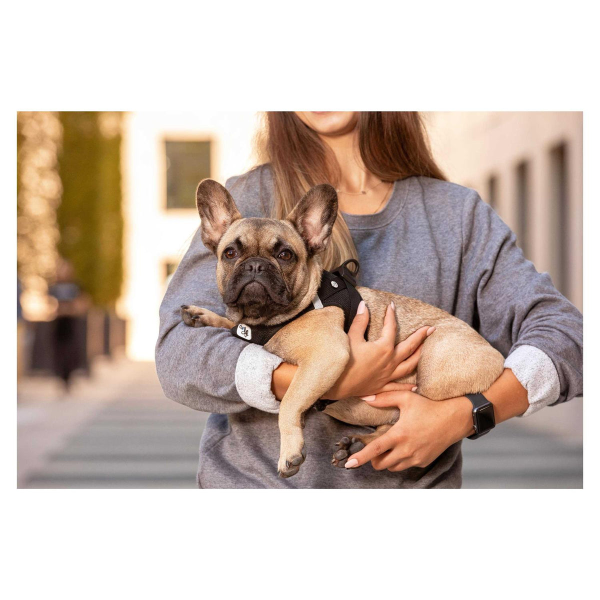 Air-Mesh Dog Harness R79179