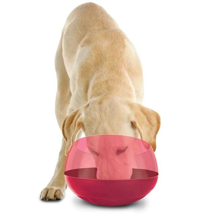 Burgundy Interactive Slow Feeder Dog Bowl I6440