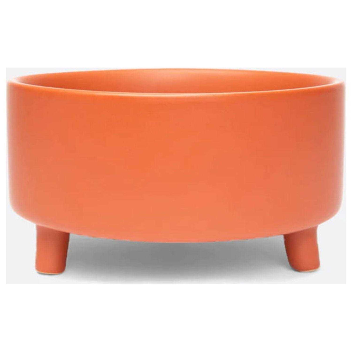 Ceramic Dog Bowl E985082