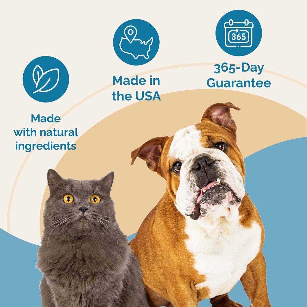 Liver Supplement for Pets C440