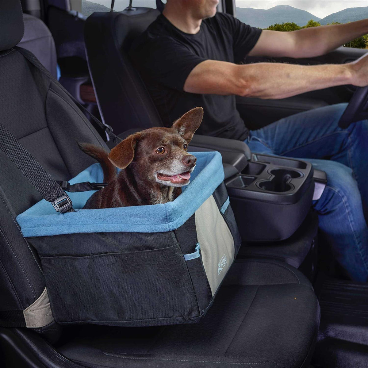 Dog Booster Seat G84291
