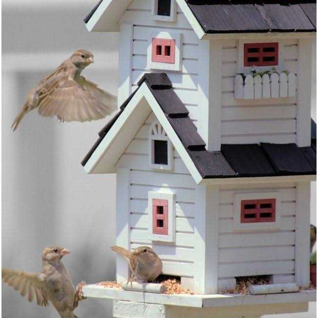 Sunflower Hearts & Chips Wild Bird Food O3346