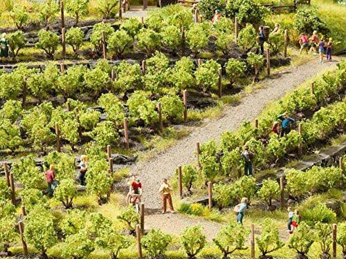 Vines 2.2cm Model Kit C93962