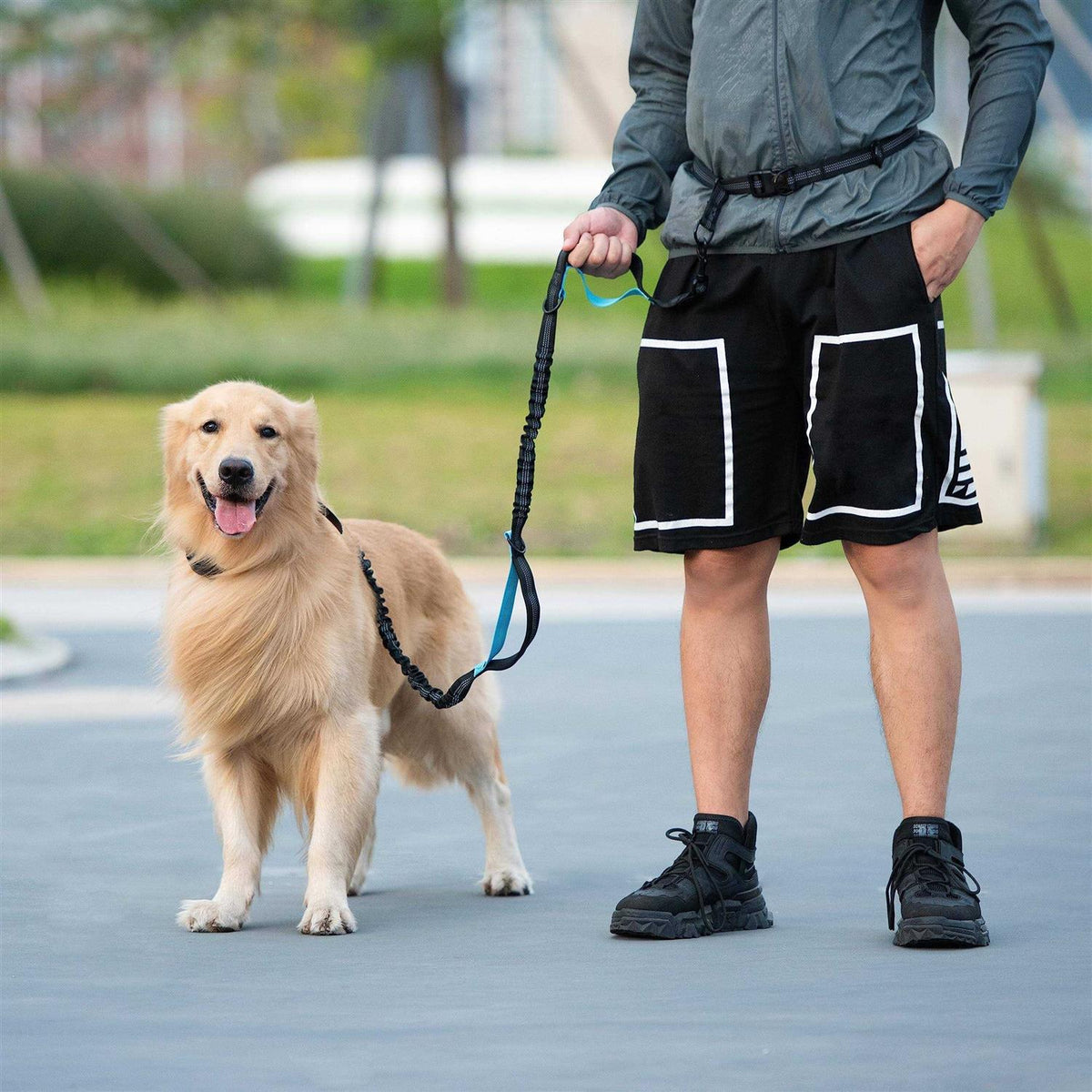 Hands Free Dog Leash with Zipper Pouch and Padded Handles G415