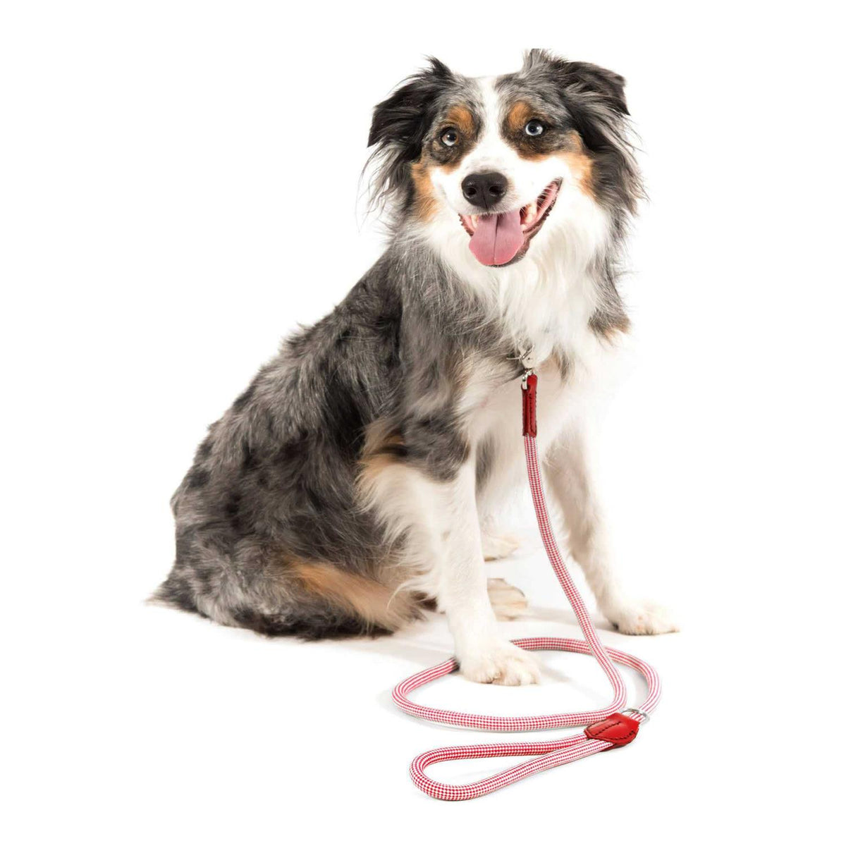Check Rope Dog Leash Q844302