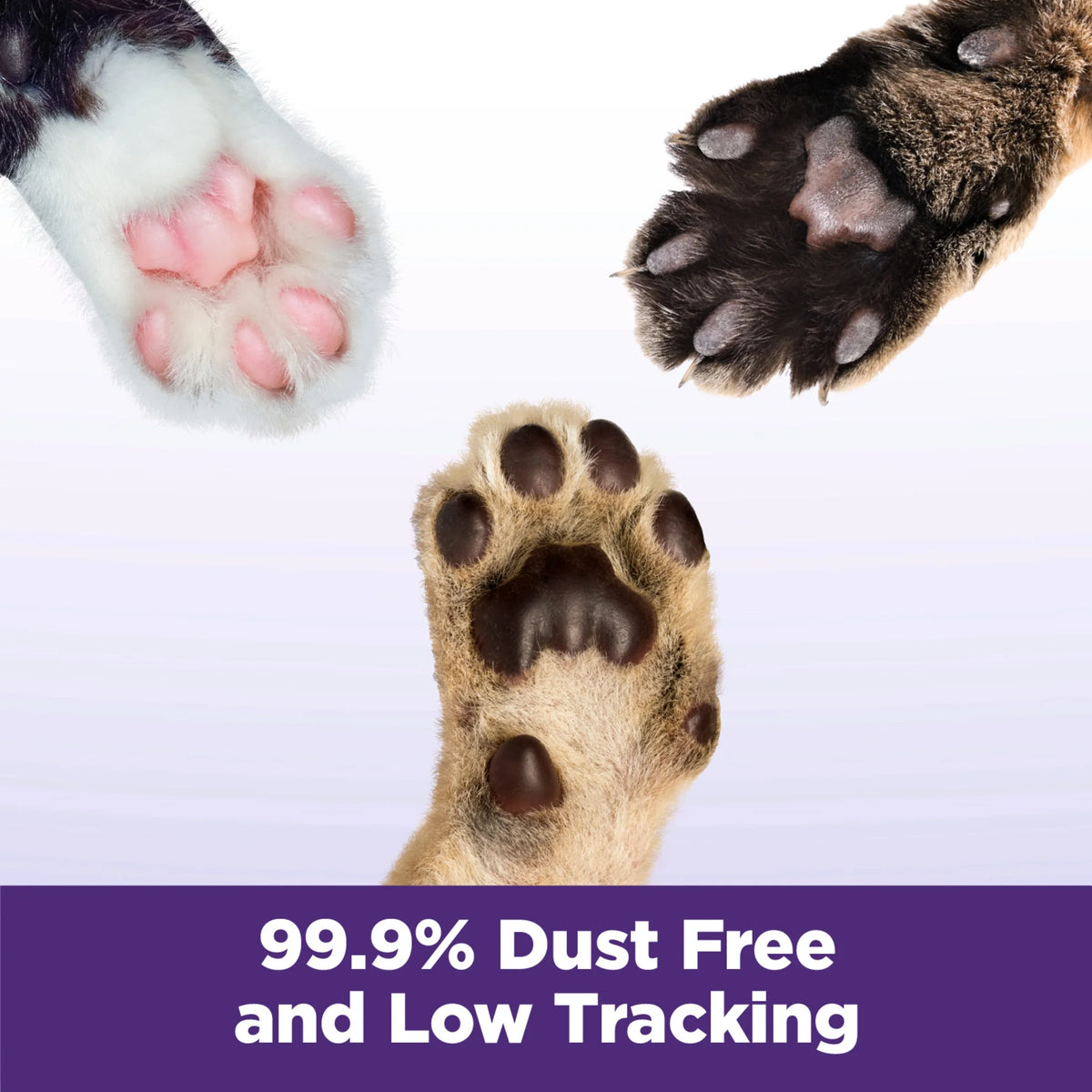 Clumping Cat Litter, 14 lbs V193