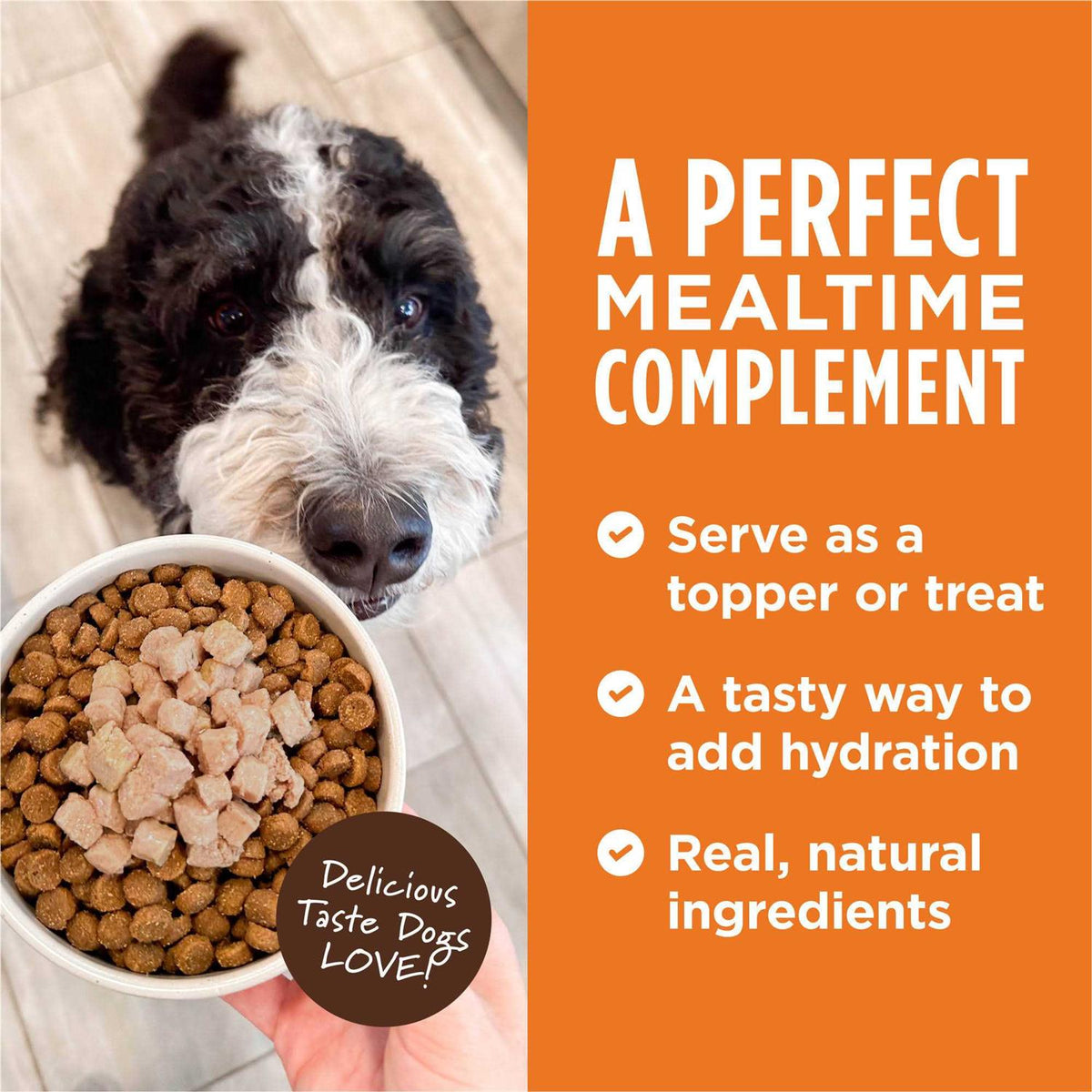Grain Free Wet Dog Food Topper U275