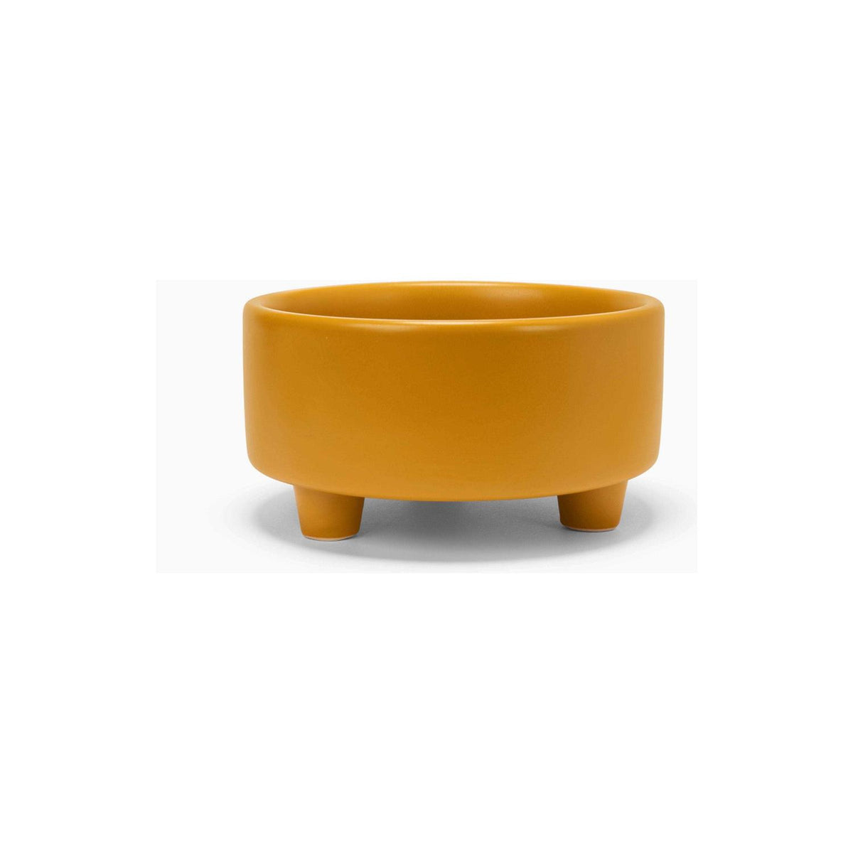 Ceramic Dog Bowl E985082