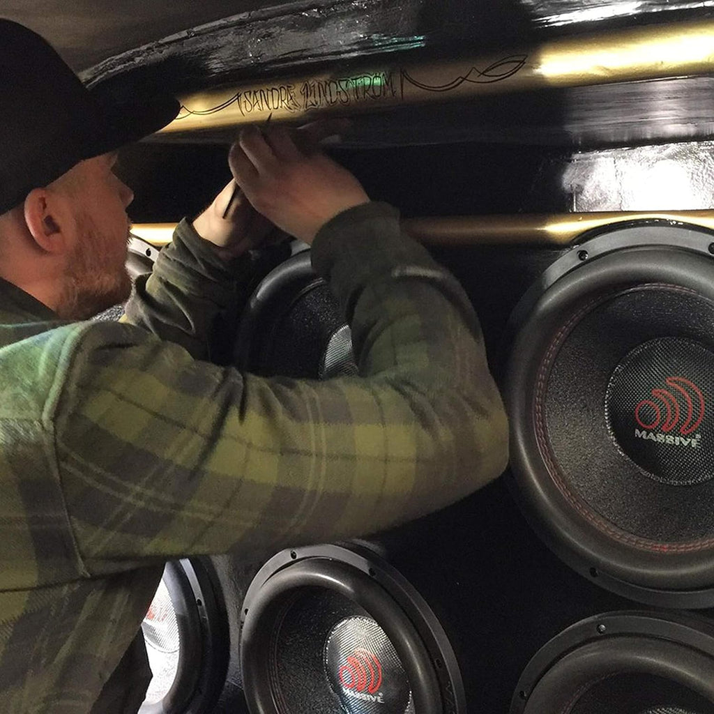 10 Inch Car Audio Subwoofer, 700 Watt RMS, Dual 2 Ohm Z436526