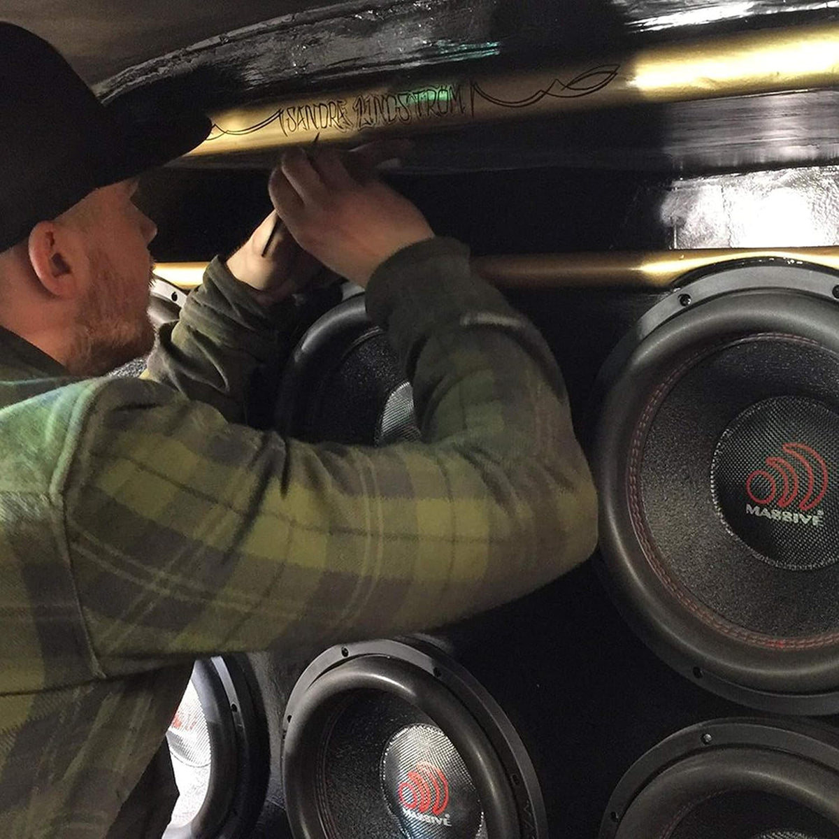 10 Inch Car Audio Subwoofer, 700 Watt RMS, Dual 2 Ohm Z436526