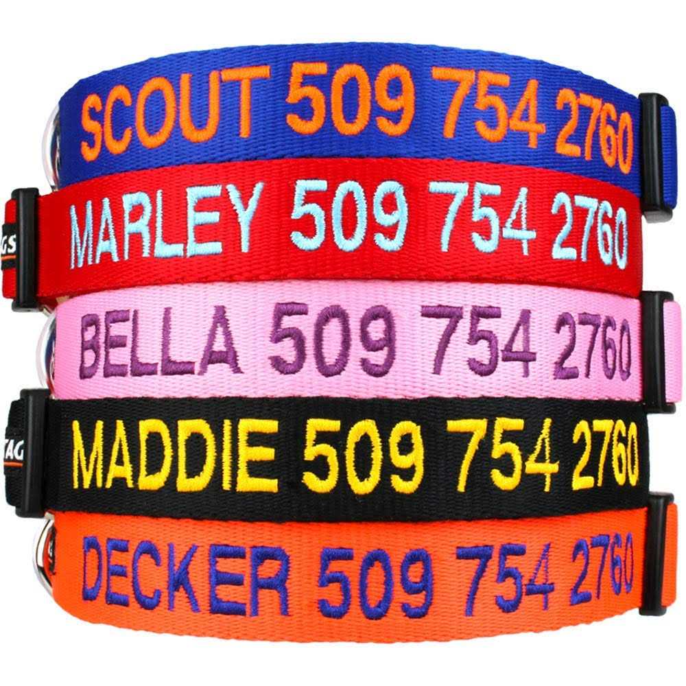 Personalized Dog Collar W560460