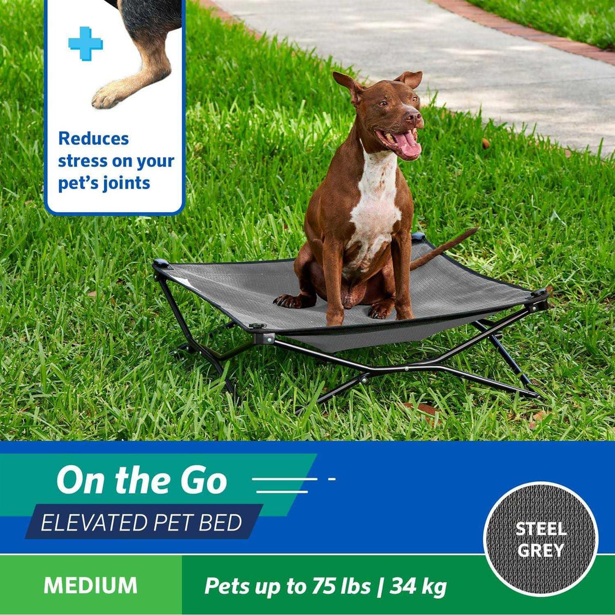 Elevated Pet Bed V324331