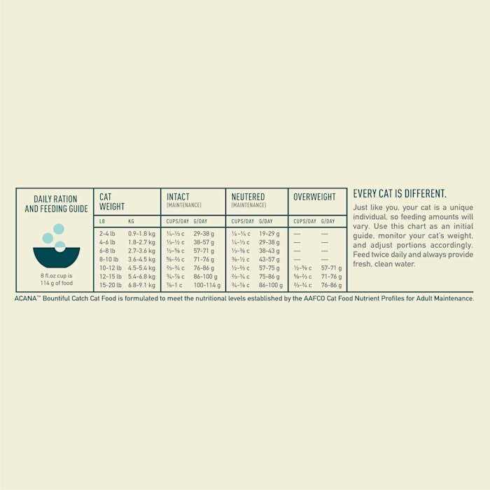 Dry Cat Food I6278