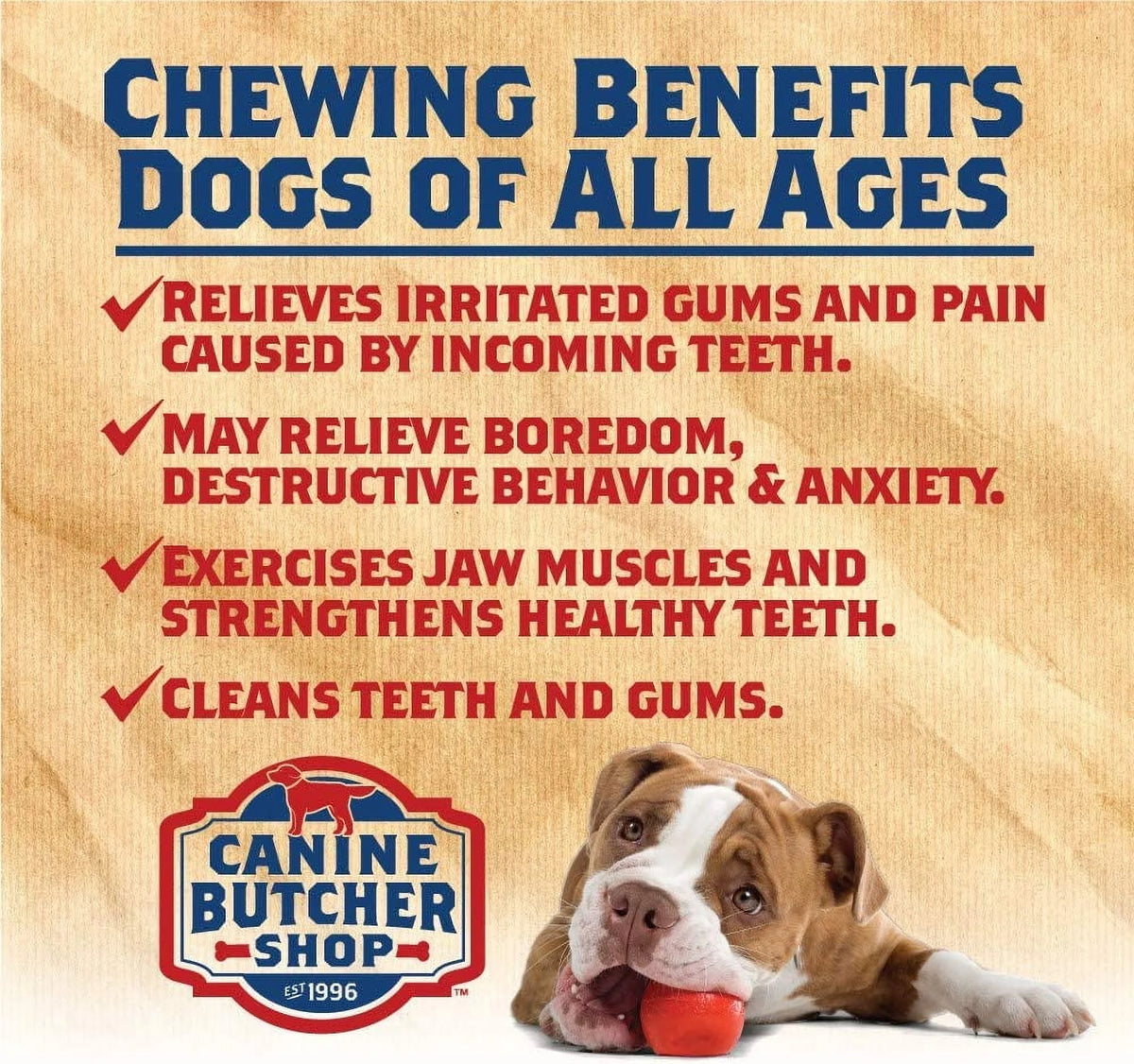 Chicken Feet for Dogs Pack of 30 All Natural Dog Chews L7181