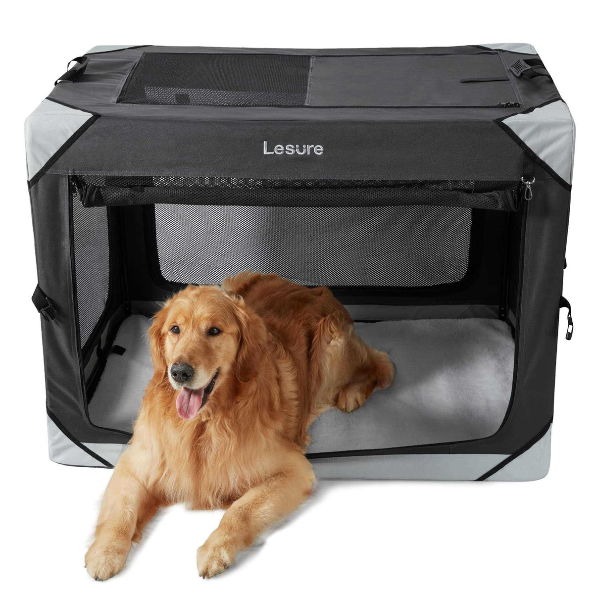 Collapsible Dog Crate D810528