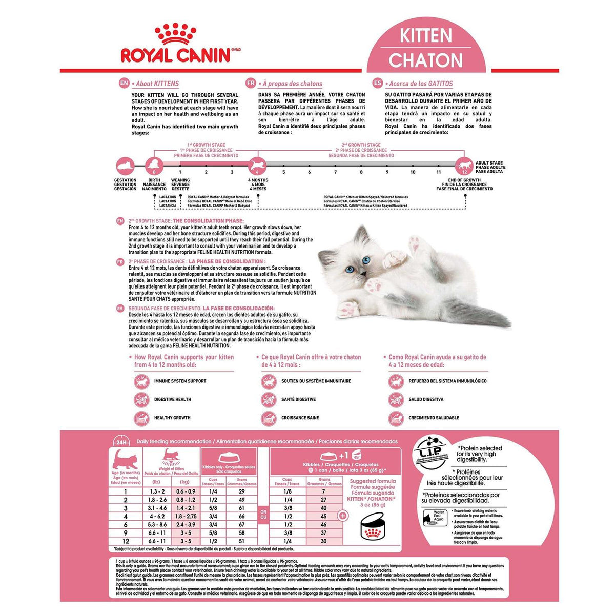 Kitten Dry Food R95567