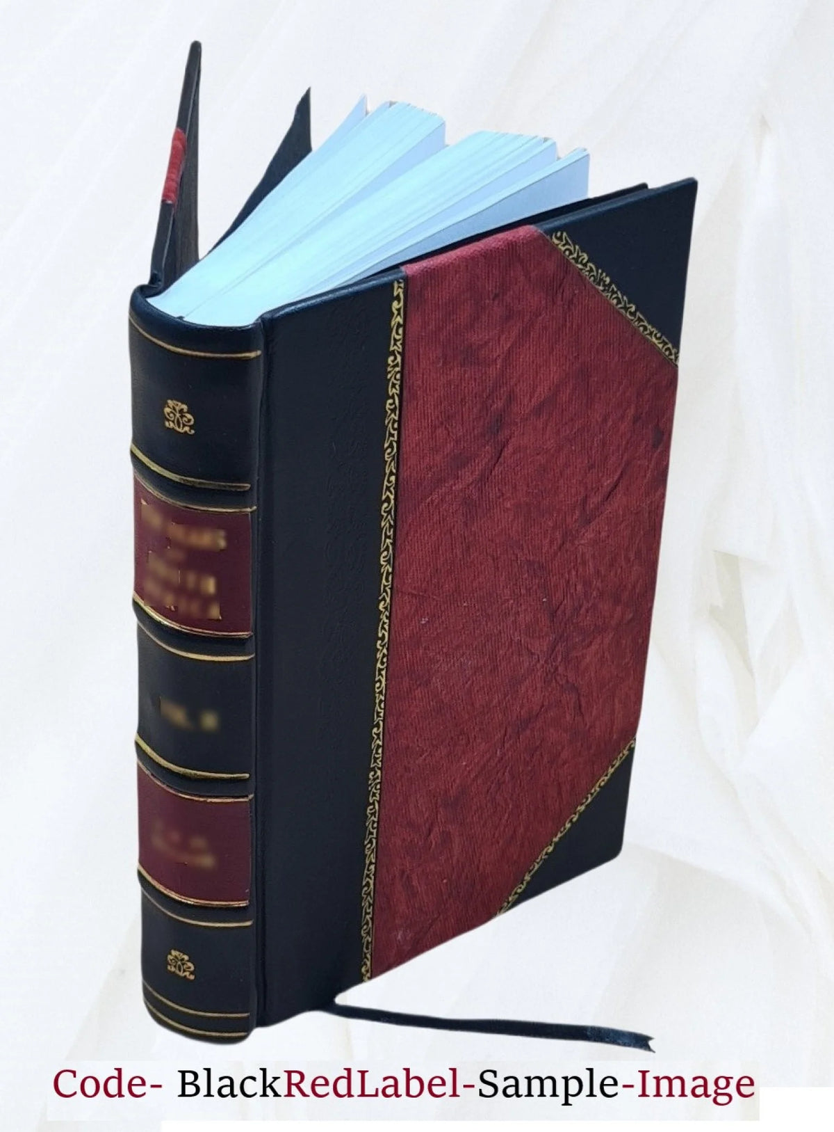 Leather Bound Book V386523