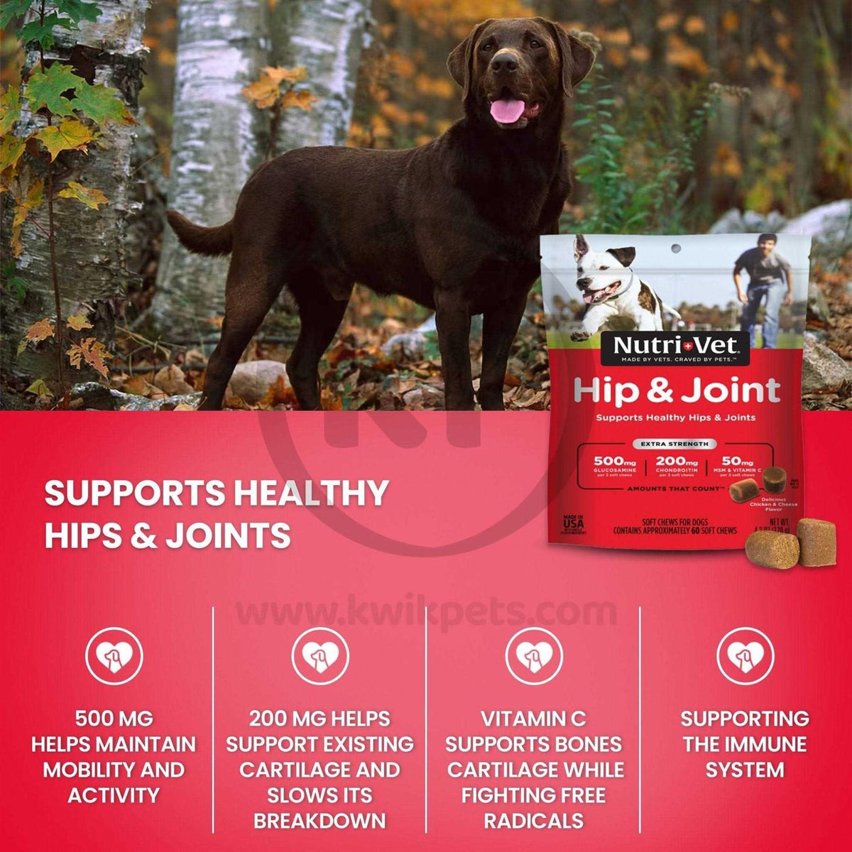 Hip & Joint Soft Chews For Dogs V9275
